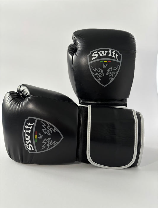 Swift S20 Series - Black + Silver
