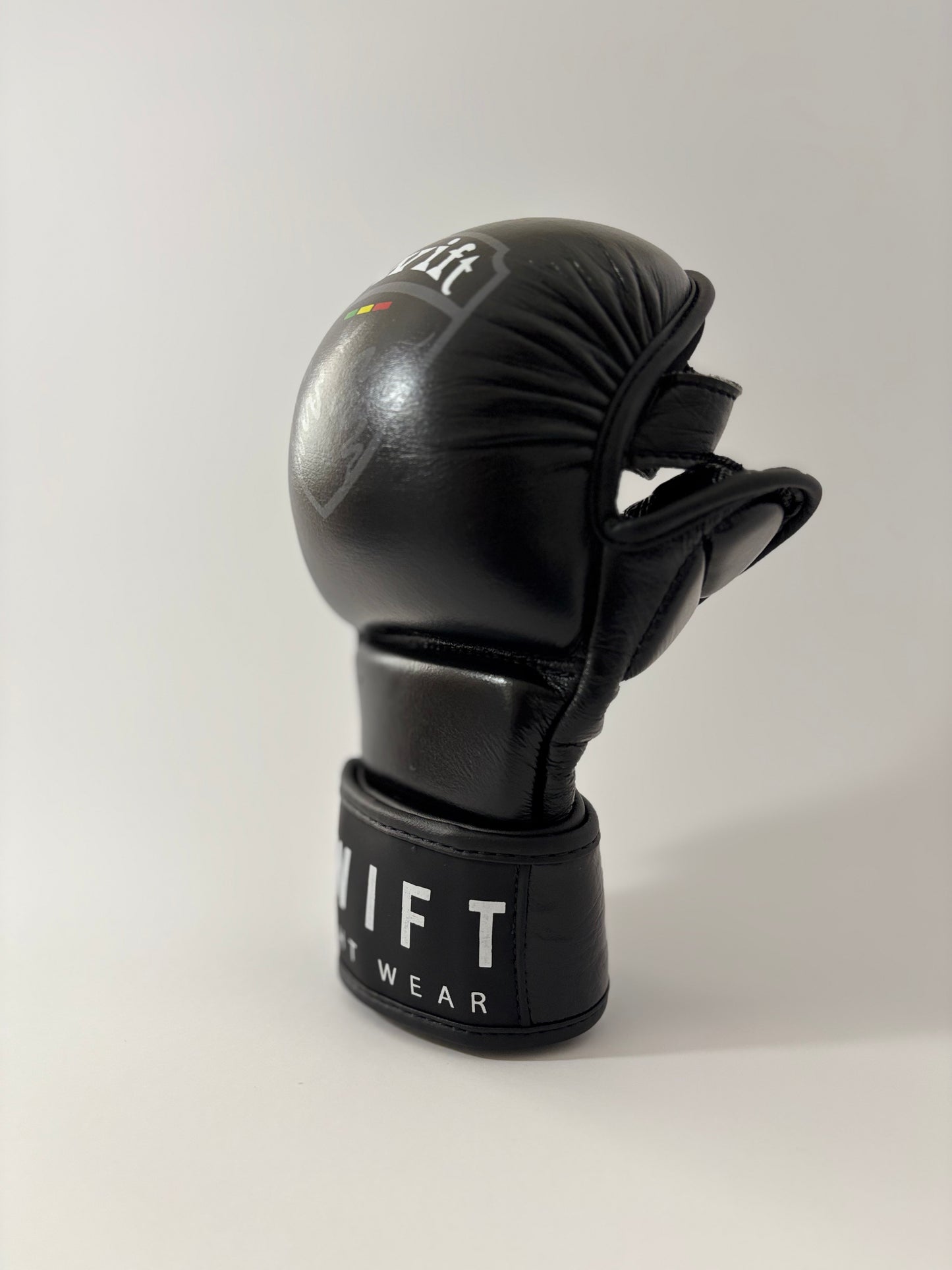 MMA Gloves